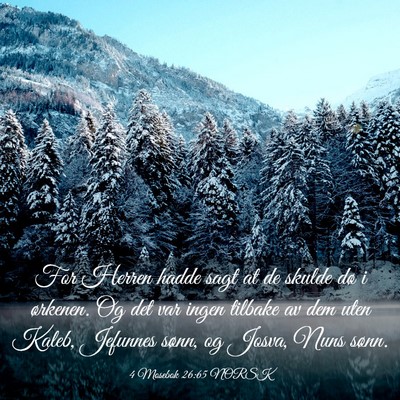 Picture 03 - 4 Mosebok 26:65 NORSK - For Herren hadde sagt at de skulde dø i - Bible Verse Picture
