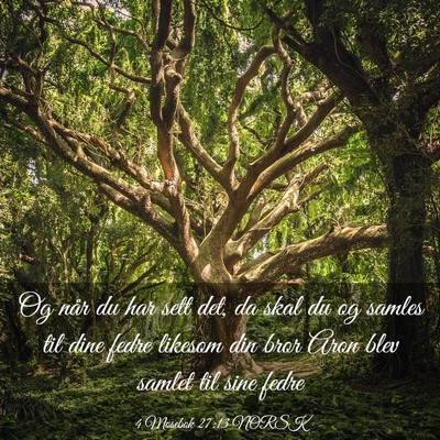 Picture 03 - 4 Mosebok 27:13 NORSK - Og når du har sett det, da skal du og samles til - Bible Verse Picture