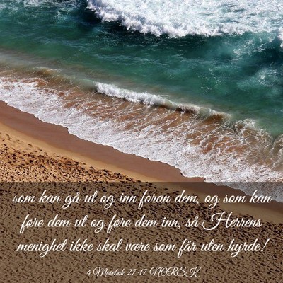 Picture 03 - 4 Mosebok 27:17 NORSK - som kan gå ut og inn foran dem, og som kan føre - Bible Verse Picture