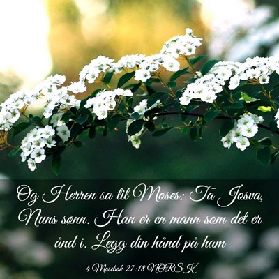 Picture 03 - 4 Mosebok 27:18 NORSK - Og Herren sa til Moses: Ta Josva, Nuns sønn. Han - Bible Verse Picture