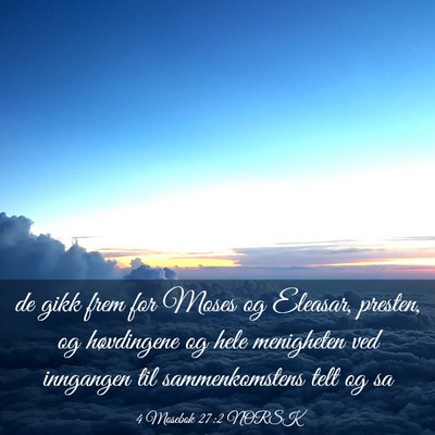 Picture 03 - 4 Mosebok 27:2 NORSK - de gikk frem for Moses og Eleasar, presten, og - Bible Verse Picture