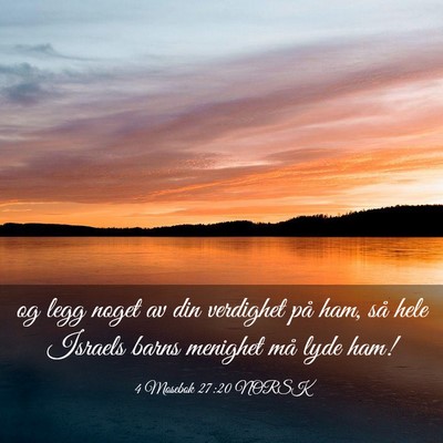 Picture 03 - 4 Mosebok 27:20 NORSK - og legg noget av din verdighet på ham, så hele - Bible Verse Picture