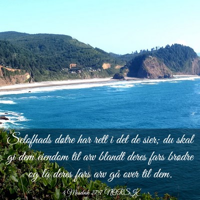 Picture 03 - 4 Mosebok 27:7 NORSK - Selofhads døtre har rett i det de sier; du skal - Bible Verse Picture