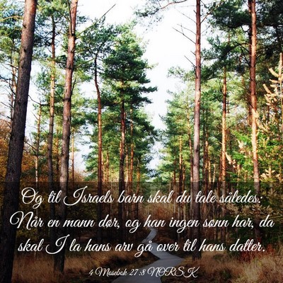 Picture 03 - 4 Mosebok 27:8 NORSK - Og til Israels barn skal du tale således: Når - Bible Verse Picture