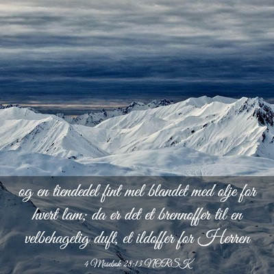 Picture 03 - 4 Mosebok 28:13 NORSK - og en tiendedel fint mel blandet med olje for - Bible Verse Picture