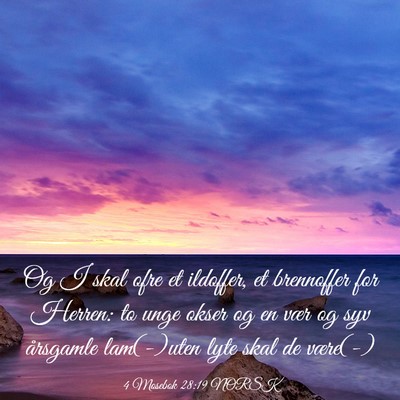 Picture 03 - 4 Mosebok 28:19 NORSK - Og I skal ofre et ildoffer, et brennoffer for - Bible Verse Picture