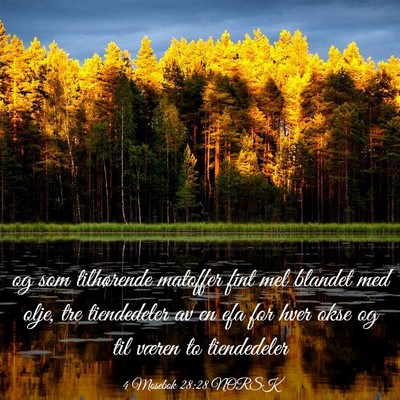 Picture 03 - 4 Mosebok 28:28 NORSK - og som tilhørende matoffer fint mel blandet med - Bible Verse Picture