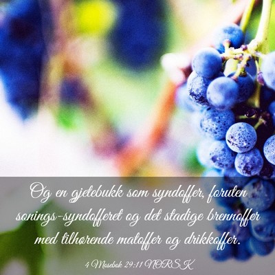 Picture 03 - 4 Mosebok 29:11 NORSK - Og en gjetebukk som syndoffer, foruten - Bible Verse Picture