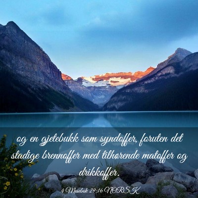 Picture 03 - 4 Mosebok 29:16 NORSK - og en gjetebukk som syndoffer, foruten det - Bible Verse Picture