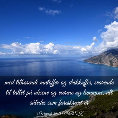 Picture 03 - 4 Mosebok 29:18 NORSK - med tilhørende matoffer og drikkoffer, svarende - Bible Verse Picture