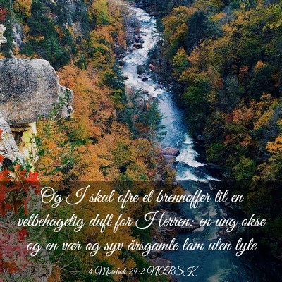Picture 03 - 4 Mosebok 29:2 NORSK - Og I skal ofre et brennoffer til en velbehagelig - Bible Verse Picture