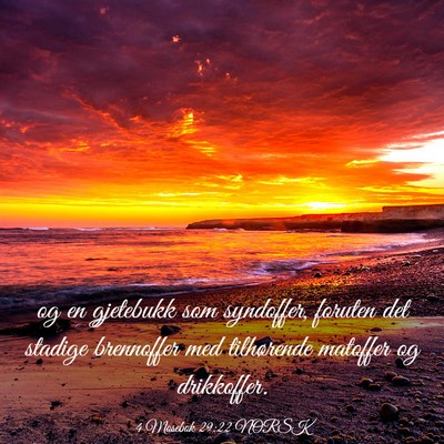 Picture 03 - 4 Mosebok 29:22 NORSK - og en gjetebukk som syndoffer, foruten det - Bible Verse Picture