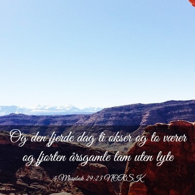 Picture 03 - 4 Mosebok 29:23 NORSK - Og den fjerde dag ti okser og to værer og - Bible Verse Picture
