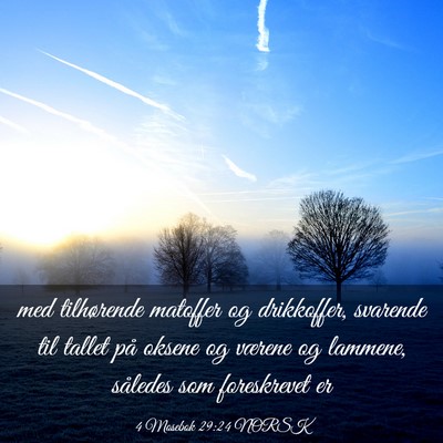 Picture 03 - 4 Mosebok 29:24 NORSK - med tilhørende matoffer og drikkoffer, svarende - Bible Verse Picture
