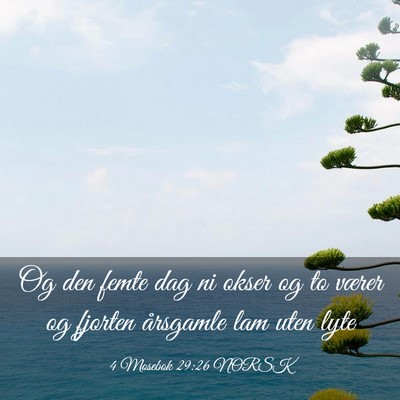 Picture 03 - 4 Mosebok 29:26 NORSK - Og den femte dag ni okser og to værer og fjorten - Bible Verse Picture