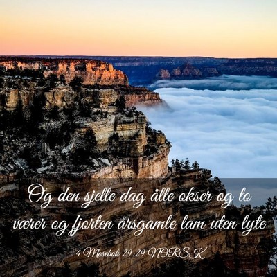 Picture 03 - 4 Mosebok 29:29 NORSK - Og den sjette dag åtte okser og to værer og - Bible Verse Picture