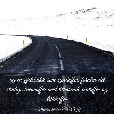 Picture 03 - 4 Mosebok 29:34 NORSK - og en gjetebukk som syndoffer, foruten det - Bible Verse Picture