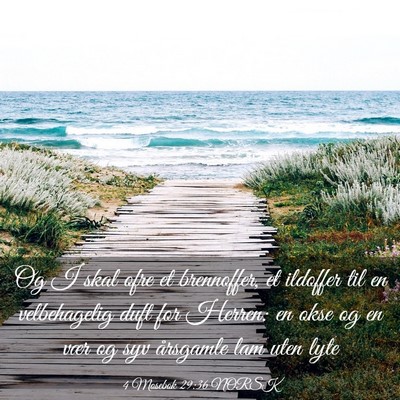 Picture 03 - 4 Mosebok 29:36 NORSK - Og I skal ofre et brennoffer, et ildoffer til en - Bible Verse Picture