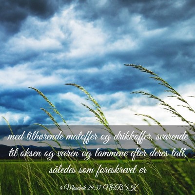 Picture 03 - 4 Mosebok 29:37 NORSK - med tilhørende matoffer og drikkoffer, svarende - Bible Verse Picture
