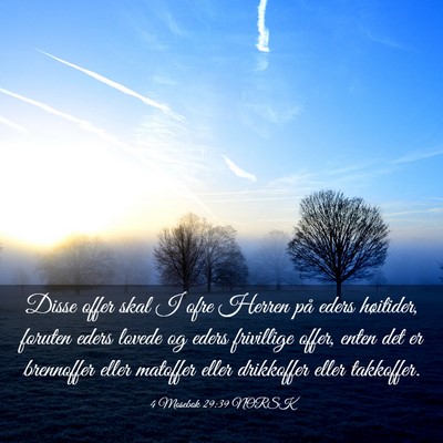 Picture 03 - 4 Mosebok 29:39 NORSK - Disse offer skal I ofre Herren på eders - Bible Verse Picture