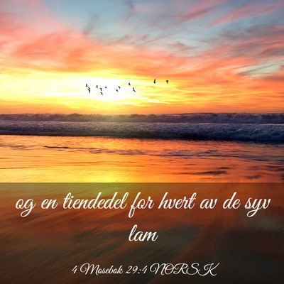 Picture 03 - 4 Mosebok 29:4 NORSK - og en tiendedel for hvert av de syv - Bible Verse Picture