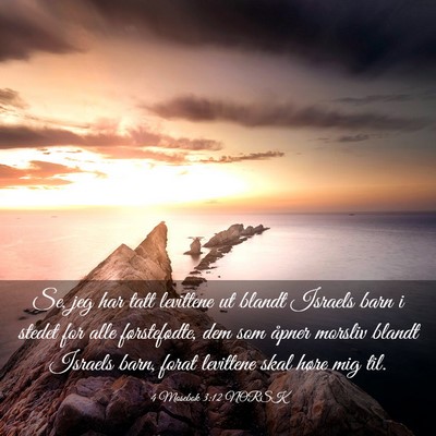 Picture 03 - 4 Mosebok 3:12 NORSK - Se, jeg har tatt levittene ut blandt Israels barn - Bible Verse Picture