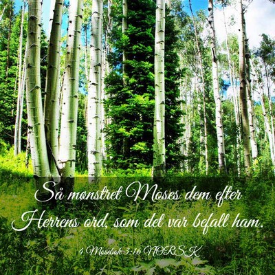 Picture 03 - 4 Mosebok 3:16 NORSK - Så mønstret Moses dem efter Herrens ord, som - Bible Verse Picture