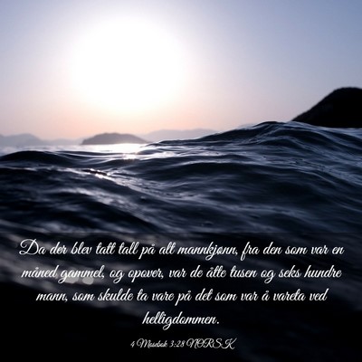 Picture 03 - 4 Mosebok 3:28 NORSK - Da der blev tatt tall på alt mannkjønn, fra den - Bible Verse Picture