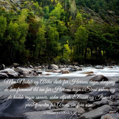 Picture 03 - 4 Mosebok 3:4 NORSK - Men Nadab og Abihu døde for Herrens åsyn, - Bible Verse Picture