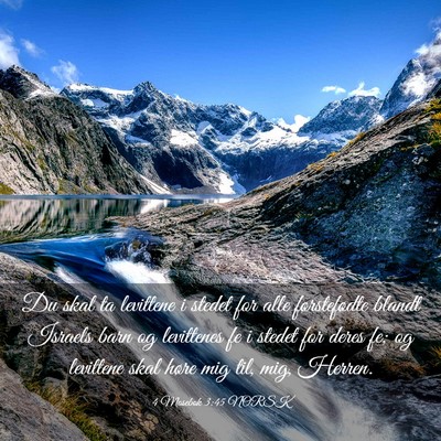 Picture 03 - 4 Mosebok 3:45 NORSK - Du skal ta levittene i stedet for alle - Bible Verse Picture