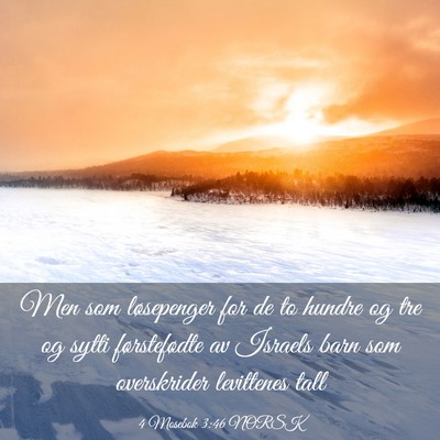 Picture 03 - 4 Mosebok 3:46 NORSK - Men som løsepenger for de to hundre og tre og - Bible Verse Picture