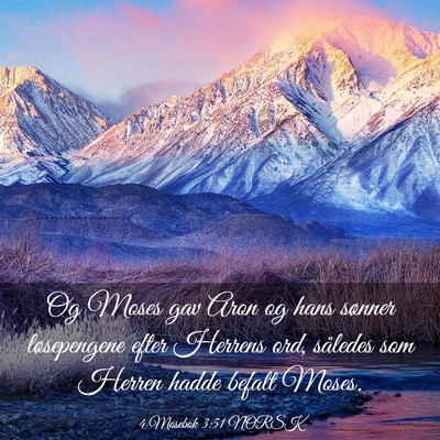 Picture 03 - 4 Mosebok 3:51 NORSK - Og Moses gav Aron og hans sønner løsepengene - Bible Verse Picture