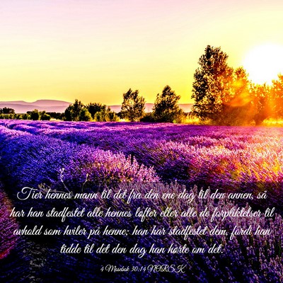 Picture 03 - 4 Mosebok 30:14 NORSK - Tier hennes mann til det fra den ene dag til den - Bible Verse Picture