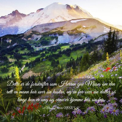 Picture 03 - 4 Mosebok 30:16 NORSK - Dette er de forskrifter som Herren gav Moses om - Bible Verse Picture