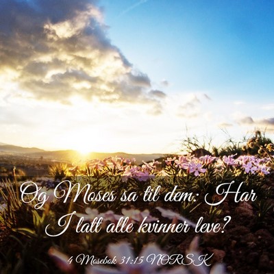 Picture 03 - 4 Mosebok 31:15 NORSK - Og Moses sa til dem: Har I latt alle kvinner - Bible Verse Picture