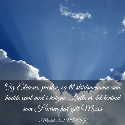 Picture 03 - 4 Mosebok 31:21 NORSK - Og Eleasar, presten, sa til stridsmennene som - Bible Verse Picture