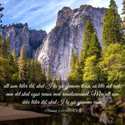 Picture 03 - 4 Mosebok 31:23 NORSK - alt som tåler ild, skal I la gå gjennem ilden, - Bible Verse Picture