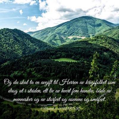 Picture 03 - 4 Mosebok 31:28 NORSK - Og du skal ta en avgift til Herren av krigsfolket - Bible Verse Picture