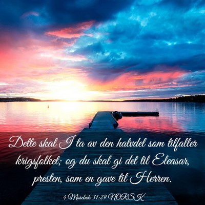 Picture 03 - 4 Mosebok 31:29 NORSK - Dette skal I ta av den halvdel som tilfaller - Bible Verse Picture