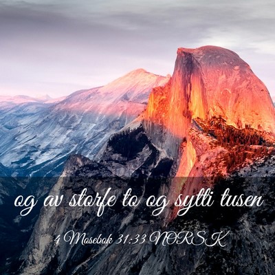 Picture 03 - 4 Mosebok 31:33 NORSK - og av storfe to og sytti - Bible Verse Picture