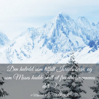 Picture 03 - 4 Mosebok 31:42 NORSK - Den halvdel som tilfalt Israels barn, og som - Bible Verse Picture