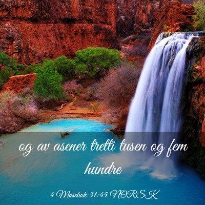 Picture 03 - 4 Mosebok 31:45 NORSK - og av asener tretti tusen og fem - Bible Verse Picture