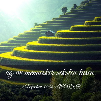 Picture 03 - 4 Mosebok 31:46 NORSK - og av mennesker seksten - Bible Verse Picture