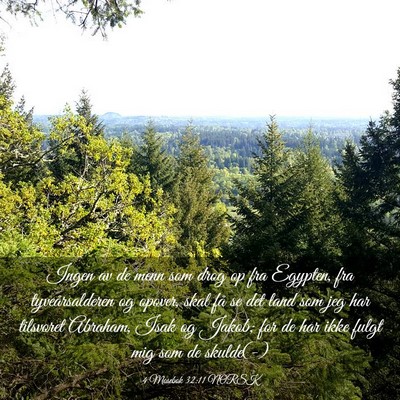 Picture 03 - 4 Mosebok 32:11 NORSK - Ingen av de menn som drog op fra Egypten, fra - Bible Verse Picture
