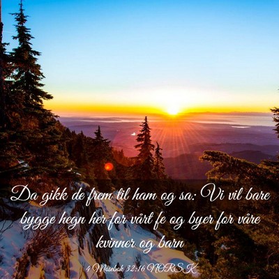 Picture 03 - 4 Mosebok 32:16 NORSK - Da gikk de frem til ham og sa: Vi vil bare bygge - Bible Verse Picture