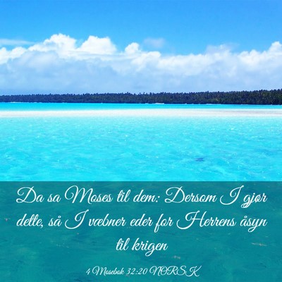 Picture 03 - 4 Mosebok 32:20 NORSK - Da sa Moses til dem: Dersom I gjør dette, så I - Bible Verse Picture