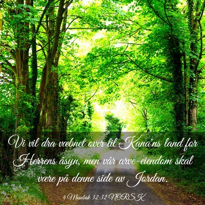 Picture 03 - 4 Mosebok 32:32 NORSK - Vi vil dra væbnet over til Kana'ns land for - Bible Verse Picture