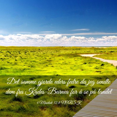 Picture 03 - 4 Mosebok 32:8 NORSK - Det samme gjorde eders fedre da jeg sendte dem - Bible Verse Picture