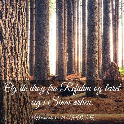 Picture 03 - 4 Mosebok 33:15 NORSK - Og de drog fra Refidim og leiret sig i Sinai - Bible Verse Picture