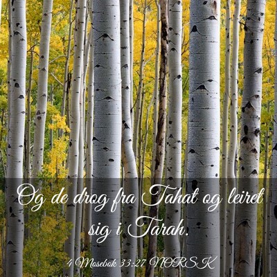 Picture 03 - 4 Mosebok 33:27 NORSK - Og de drog fra Tahat og leiret sig i - Bible Verse Picture